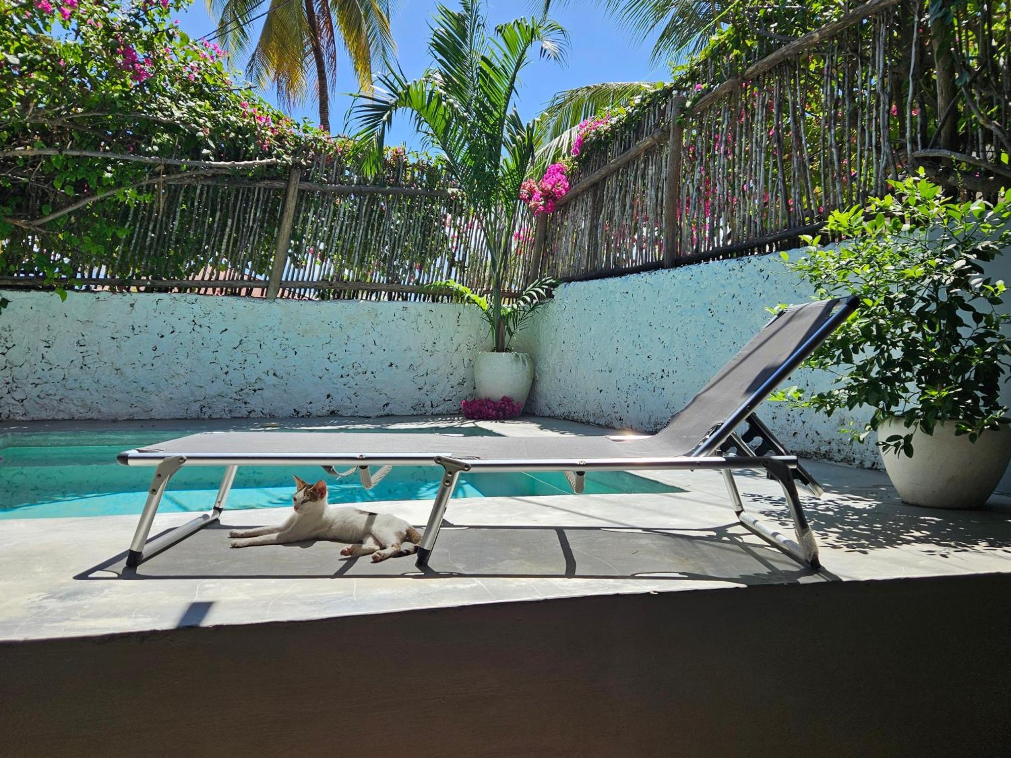 Mbaliparadise Guest Litham