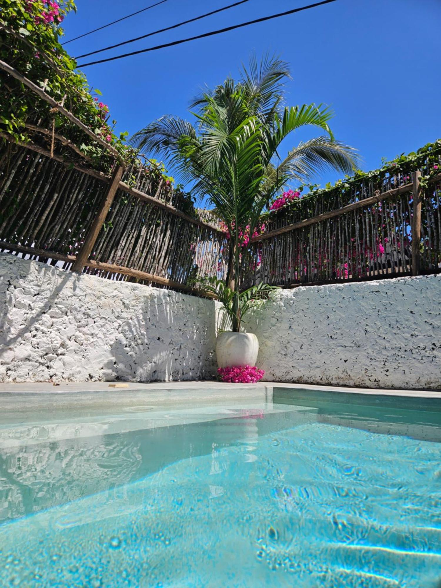 Mbaliparadise Guest Litham Lejlighed